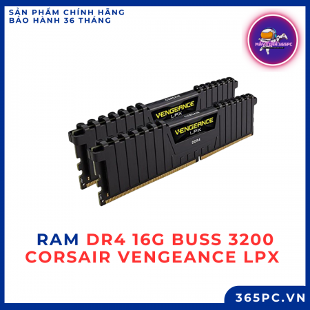 Máy treo acc full ngày – RAM bao nhiêu là đủ? SSD hay HDD?