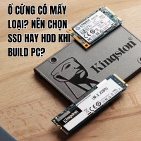 Ổ Cứng Có Mấy Loại? Nên Chọn SSD Hay HDD Khi Build PC? | Tư Vấn Từ 365PC Bình Dương