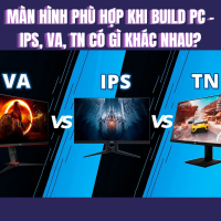 Hướng Dẫn Chọn Màn Hình Phù Hợp Khi Build PC – IPS, VA, TN Có Gì Khác Nhau?