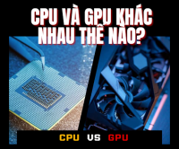 CPU và GPU Khác Nhau Thế Nào? Có Cần Gắn Card Màn Hình Rời Không?