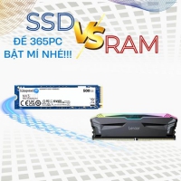 Build PC Cho Designer: RAM Hay SSD Quan Trọng Hơn?