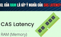 CL Của RAM Là Gì? Ý Nghĩa Của CAS Latency Khi Chọn RAM | 365PC