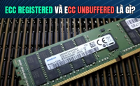 ECC Registered Và ECC Unbuffered Là Gì? Sự Khác Biệt Quan Trọng Của RAM Server | 365PC
