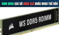 RAM DDR4 ECC và DDR5 ECC khác nhau thế nào